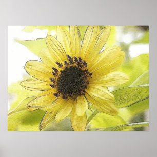 A Single Lemon Yellow Sunflower Poster