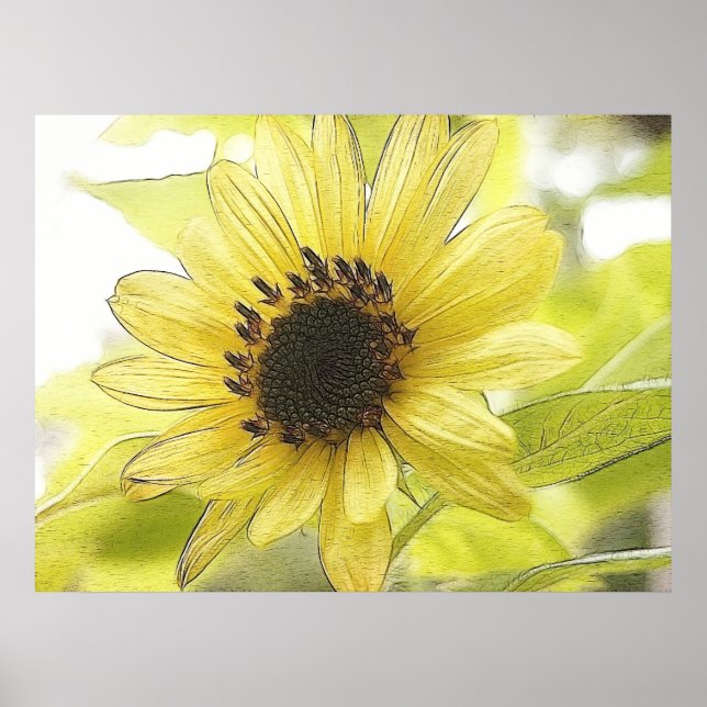 A Single Lemon Yellow Sunflower Poster (Front)