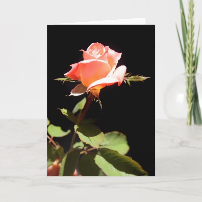 A single rose -a card (Front)