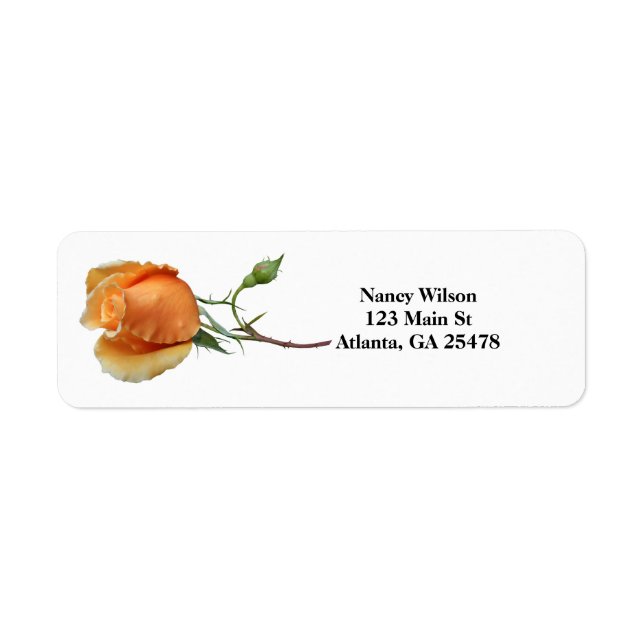 A single rose cutting (Front)