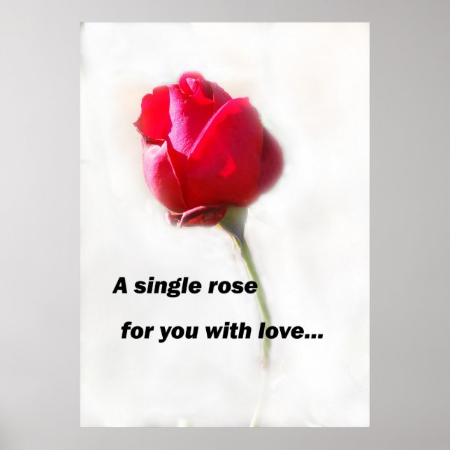 A single rose for you with love... poster (Front)