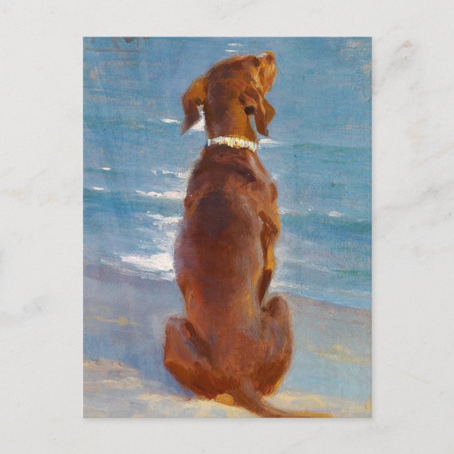 A sitting brown dog by P.S. Kroyer Postcard (Front)