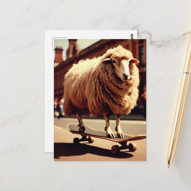 A Skateboarding White Sheep Retro Photo Postcard (Front/Back In Situ)