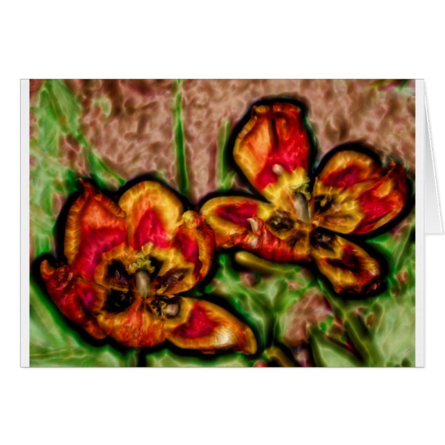 A Sketch of Tulipa Duo (Front Horizontal)