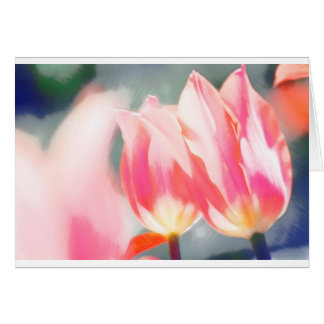 A Sketch of Tulipa Duo