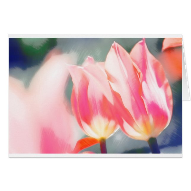 A Sketch of Tulipa Duo (Front Horizontal)