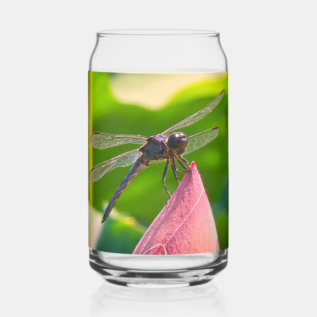 A Slaty Skimmer dragonfly (Recto)