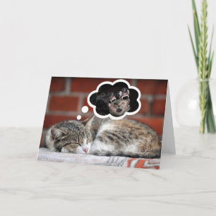 A sleeping cat having a nightmare! Card