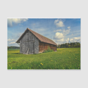 A Small Grey and Brown Barn in a Flower Field Tissue Paper