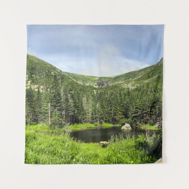 A small pond in the valley of the mountains in the tapestry (Front)