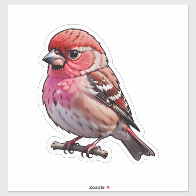 A Small Red Bird (Sheet)