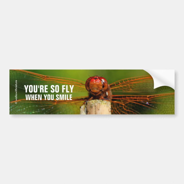 A Smiling Red Dragonfly Bumper Sticker (Front)
