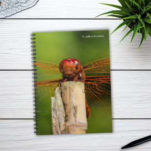 A Smiling Red Dragonfly Notebook