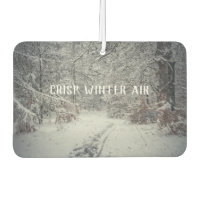 A snow-covered path through a winter forest
