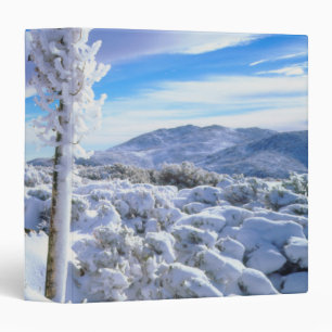A snow covered yucca binder