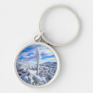 A snow covered yucca keychain