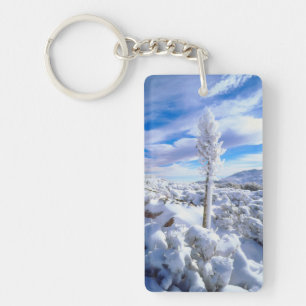 A snow covered yucca keychain