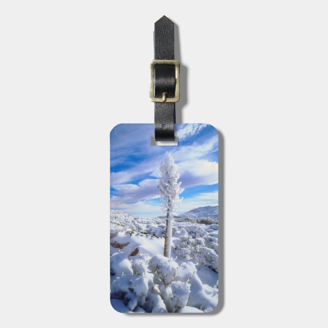 A snow covered yucca luggage tag (Front Vertical)