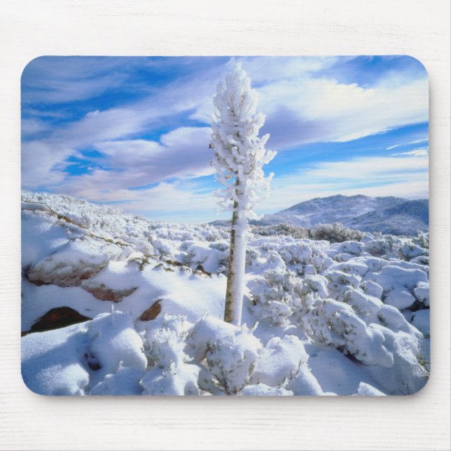 A snow covered yucca mouse pad (Front)