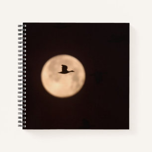 A Snow Goose Against A Full Moon New Mexico Notebook