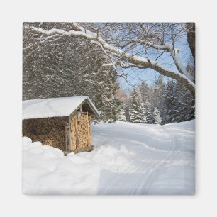 A snowy scene at the AMC's Little Lyford Pond Magnet