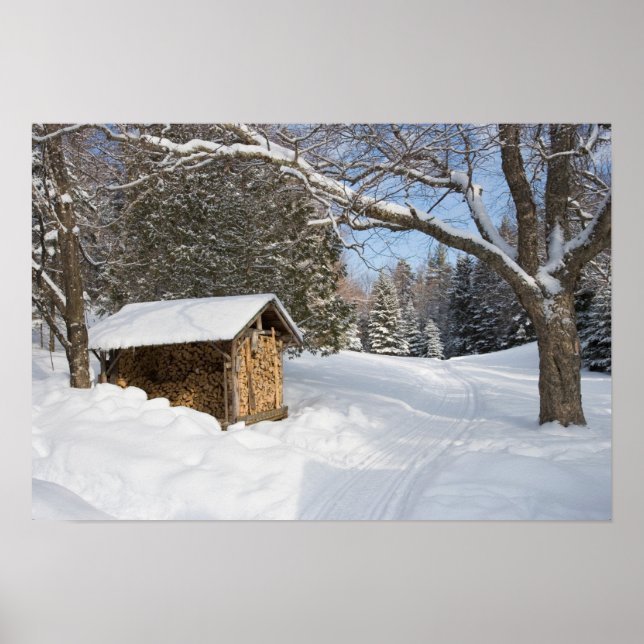 A snowy scene at the AMC's Little Lyford Pond Poster (Front)