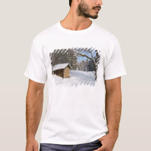 A snowy scene at the AMC's Little Lyford Pond T-Shirt