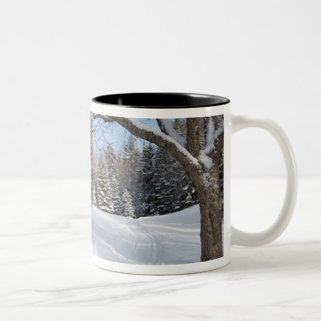 A snowy scene at the AMC's Little Lyford Pond Two-Tone Coffee Mug (Right)