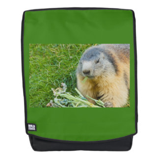 a sociable marmot  on Adult  Backpack + Face