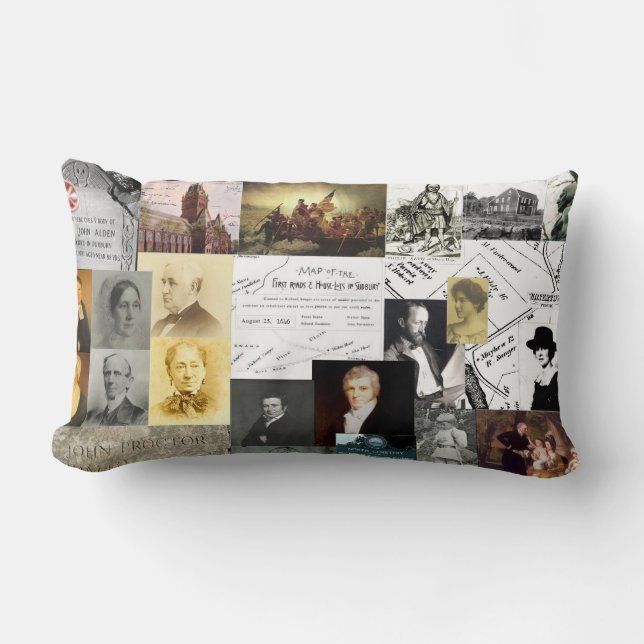 A Soft History Lesson Lumbar Pillow (Front)