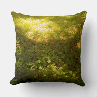 a soft light throw pillow