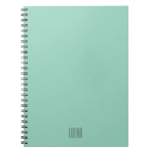 A soft mint muted solid colour. notebook