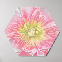 A Soft Pink and Crème Hollyhock_0165