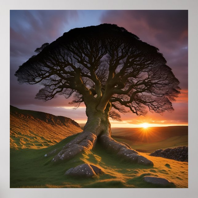  A Solitary Tree in Nature's Embrace Poster (Front)