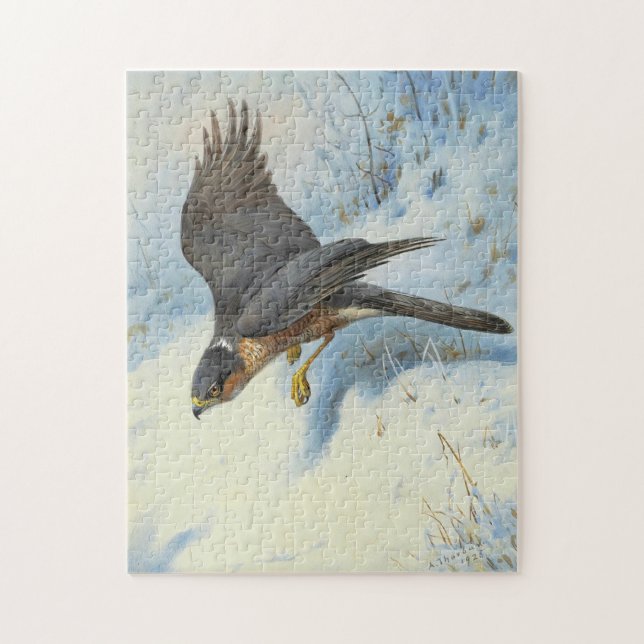 A Sparrow-hawk in Flight Jigsaw Puzzle (Vertical)