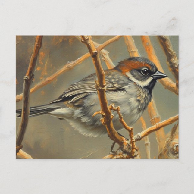 A sparrow, resting, sits on a bush branch postcard (Front)
