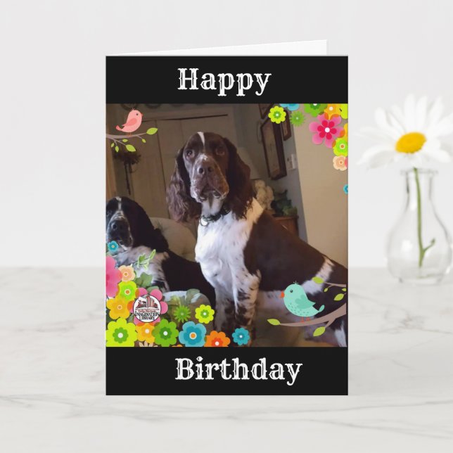 "A SPECIAL DAY, A SPECIAL "YOU" says SPANIEL  Card (Small Plant)