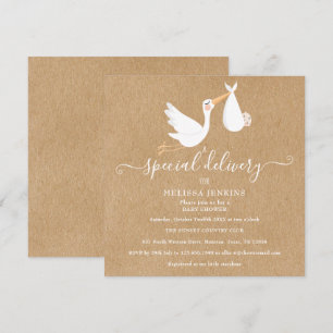 A Special Delivery Stork Baby Shower / Sprinkle Invitation