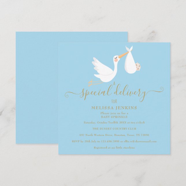 A Special Delivery Stork Baby Sprinkle / Shower Invitation (Front/Back)
