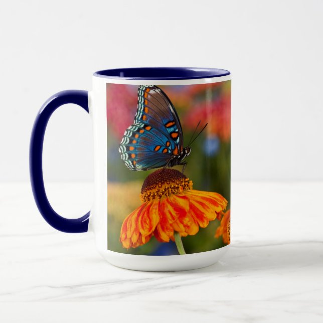 A Spicebush Swallowtail, Papilio troilus Mug (Left)