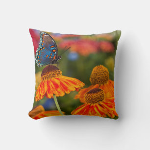 A Spicebush Swallowtail, Papilio troilus Throw Pillow