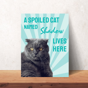 A Spoiled Cat Lives Here Custom Cat Poster