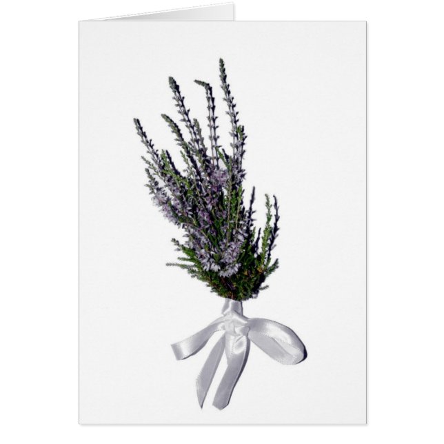 A Sprig of Heather from Scotland (Front)