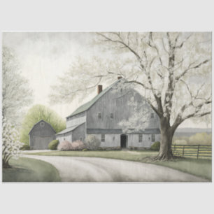 A spring Barn  Tissue Paper