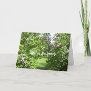 A Spring Birthday-lilac bushes Card