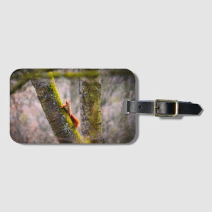 A squirrel     luggage tag