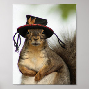 A Squirrel with A Hat Graphic Art Poster