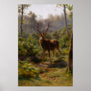 A Stag in the Forest Poster