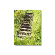 A stairway in the grass
