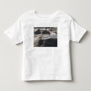 A static display of an ordnance shell toddler t-shirt